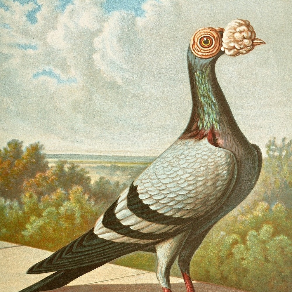 Tamamlanmış Tablo